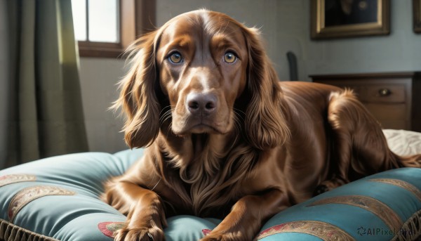 The elegance of a dog in a ethereal day
