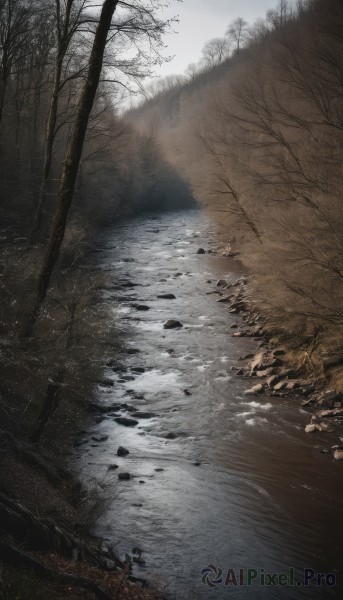 outdoors,sky,day,water,tree,no humans,sunlight,nature,scenery,forest,reflection,light rays,bridge,bare tree,river,landscape,cloud,cloudy sky,grass,rock