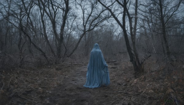 solo,standing,outdoors,from behind,tree,no humans,nature,scenery,cloak,forest,road,hooded cloak,bare tree,fog,1girl,long hair,dress,blue hair,blue dress,veil