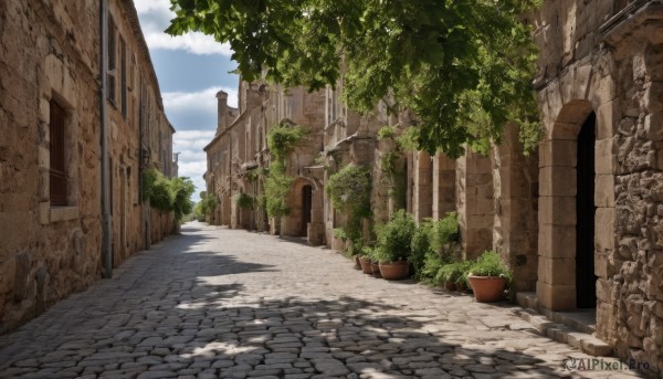 outdoors,sky,day,cloud,tree,blue sky,no humans,window,shadow,sunlight,cloudy sky,plant,building,scenery,stairs,door,potted plant,road,bush,wall,ruins,brick wall,street,path,pavement,pillar,flower pot,arch,stone floor,stone wall