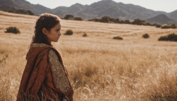 1girl,solo,long hair,brown hair,black hair,closed mouth,upper body,outdoors,day,cape,blurry,from side,profile,depth of field,blurry background,grass,scenery,cloak,mountain,realistic,field,looking at viewer,braid,looking back,dark skin,dark-skinned female,landscape