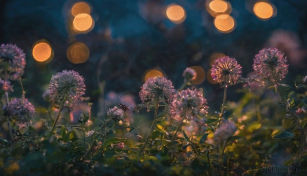 Outdoors brought to life with a dynamic unique subject