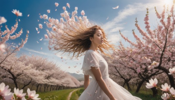 1girl, solo, long hair, brown hair, dress, closed eyes, flower, short sleeves, outdoors, sky, day, cloud, white dress, blurry, from side, tree, blue sky, lips, petals, floating hair, grass, cherry blossoms, wind, scenery, realistic