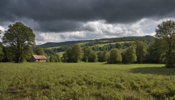 outdoors,sky,day,cloud,tree,blue sky,no humans,cloudy sky,grass,building,nature,scenery,forest,mountain,field,house,landscape,hill