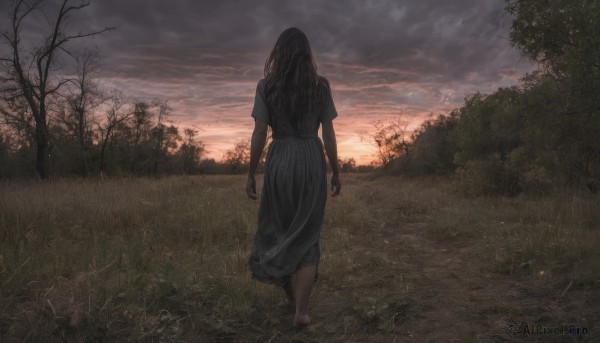 A stunning portrayal of a female in a calm sunset outdoors