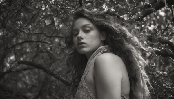 A female in a dynamic outdoors
