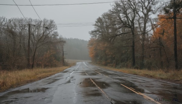 outdoors,sky,day,cloud,tree,no humans,cloudy sky,grass,nature,scenery,forest,road,power lines,bare tree,street,utility pole,grey sky,path,ground vehicle,realistic,fence