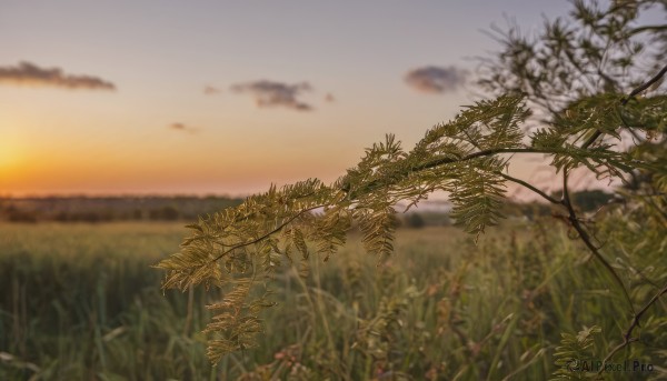 A tranquil view of a landscape in sunset outdoors