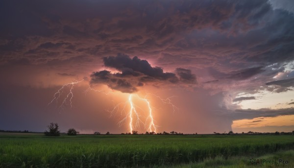 outdoors,sky,cloud,tree,no humans,cloudy sky,grass,scenery,sunset,sun,silhouette,electricity,lightning,nature,forest,field,landscape,hill