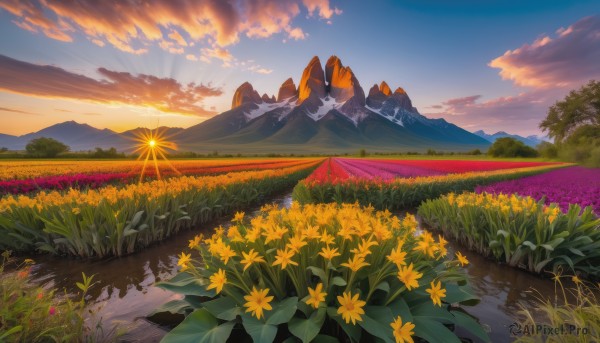 The allure of a landscape in a dynamic sunset outdoors