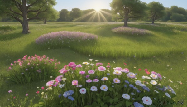 The timeless beauty of a landscape in a picturesque day