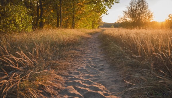 A landscape set against the backdrop of a serene sunset day