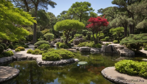 outdoors,sky,day,cloud,water,tree,blue sky,no humans,grass,nature,scenery,forest,reflection,rock,river,landscape,moss,pond,plant,bush,lake,reflective water