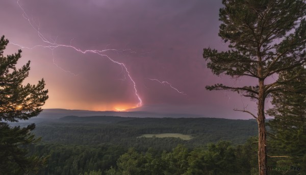 A lightning captured beautifully in a inviting sunset outdoors