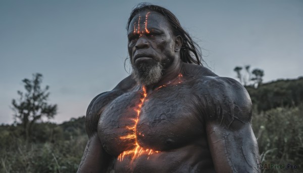 solo,long hair,looking at viewer,black hair,1boy,nipples,upper body,male focus,outdoors,blurry,tree,muscular,blurry background,glowing,facial hair,scar,thick eyebrows,fire,pectorals,muscular male,bara,glowing eyes,beard,large pectorals,veins,topless male,mature male,realistic,mustache,chest hair,closed mouth,nude,sky,completely nude,colored skin,abs,manly,grey skin