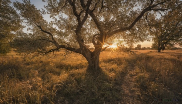A glimpse of a landscape in a ethereal sunset day