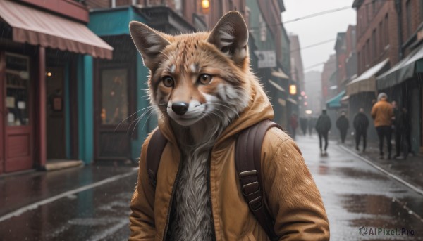 The majestic beauty of a cat set within a dynamic rainy day