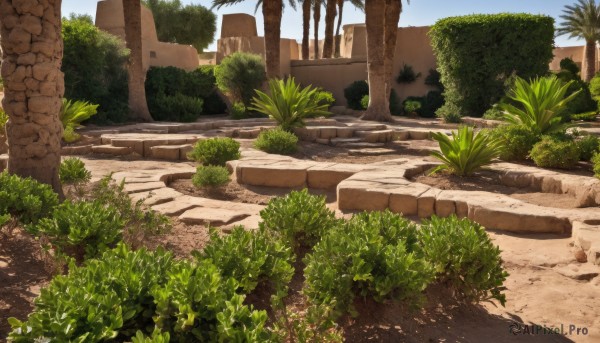 outdoors,sky,day,tree,blue sky,no humans,shadow,grass,plant,building,nature,scenery,road,bush,ruins,pillar,path,cloud,rock,sand,palm tree,overgrown