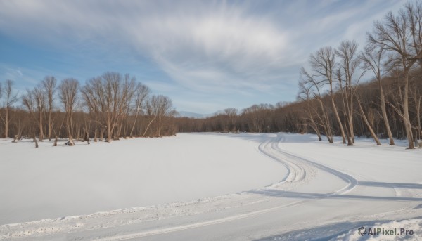 The elegance of a landscape in a idyllic snowy day