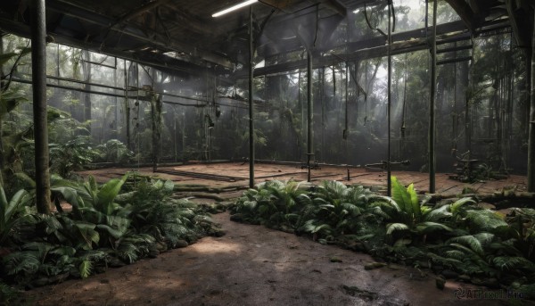 A indoors captured in a tranquil day