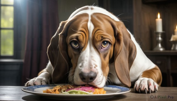 HQ,solo,looking at viewer,yellow eyes,food,indoors,blurry,no humans,window,depth of field,blurry background,animal,eating,table,cat,curtains,claws,plate,dog,realistic,candle,animal focus,whiskers,horror (theme),brown eyes,fire,bowl,flame,brown fur,pet,candlelight