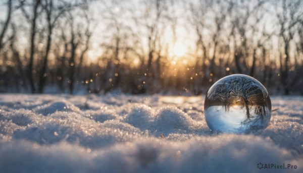 outdoors, sky, blurry, tree, no humans, depth of field, nature, scenery, snow, bare tree, orb, bokeh