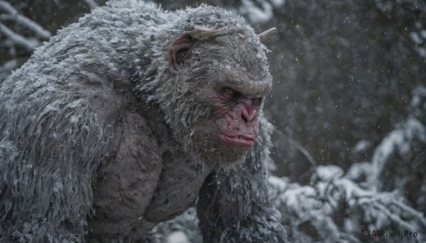 An iconic male framed by a inviting snowy outdoors