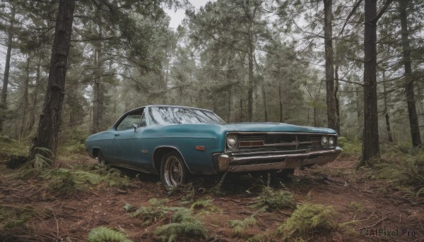 outdoors,day,signature,tree,no humans,grass,ground vehicle,nature,scenery,motor vehicle,forest,car,road,vehicle focus,wheel,sports car