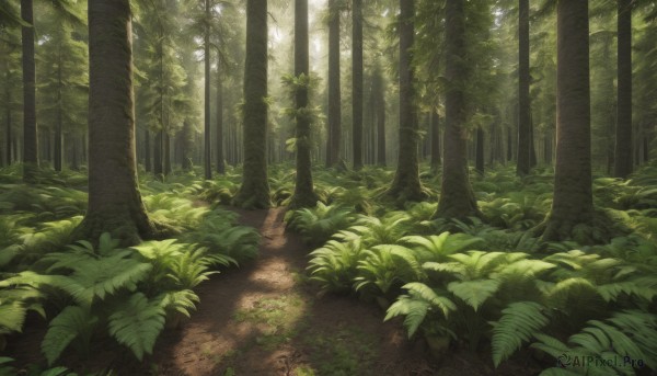 A landscape portrayed in a inviting day