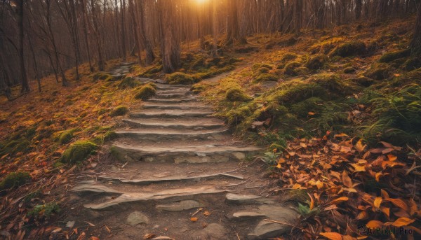 outdoors,tree,no humans,leaf,sunlight,grass,plant,nature,scenery,forest,light rays,stairs,road,autumn leaves,autumn,path,traditional media,sunset,light,orange theme