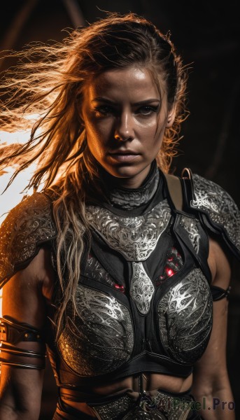 1girl,solo,long hair,breasts,looking at viewer,blonde hair,brown hair,black hair,brown eyes,medium breasts,closed mouth,upper body,dark skin,armor,black eyes,dark-skinned female,lips,muscular,floating hair,scar,shoulder armor,armlet,pauldrons,breastplate,realistic,nose,boobplate,weapon,polearm,chainmail