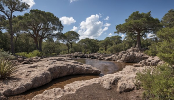 A landscape in a picturesque day
