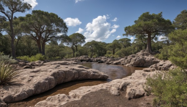 outdoors,sky,day,cloud,water,tree,blue sky,no humans,cloudy sky,grass,nature,scenery,forest,rock,bush,river,landscape,ocean,shore