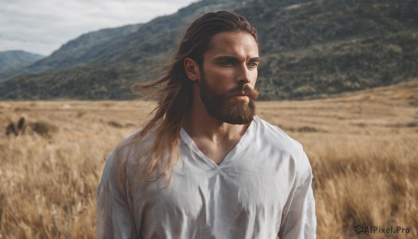 solo,long hair,brown hair,shirt,1boy,brown eyes,closed mouth,white shirt,upper body,male focus,outdoors,day,medium hair,blurry,looking to the side,blurry background,facial hair,beard,mountain,realistic,manly,field,sky,depth of field,looking away,sunlight,looking afar