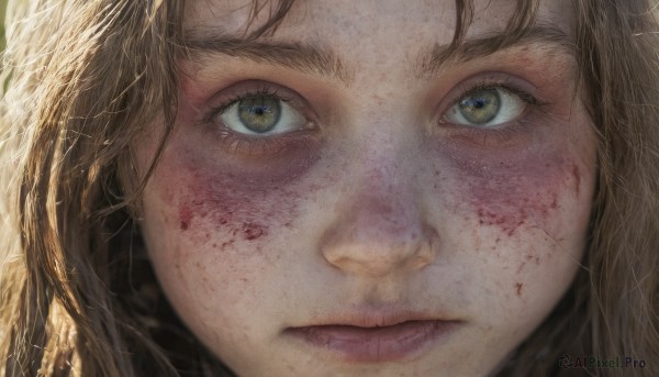 1girl,solo,long hair,looking at viewer,blonde hair,brown hair,brown eyes,closed mouth,yellow eyes,lips,eyelashes,blood,portrait,close-up,freckles,blood on face,realistic,nose,eye focus,bangs,messy hair,injury,dirty