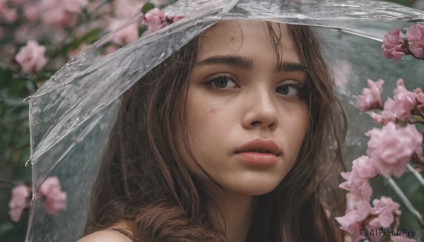 1girl, solo, long hair, looking at viewer, brown hair, flower, outdoors, parted lips, blurry, black eyes, lips, depth of field, blurry background, umbrella, portrait, pink flower, realistic, nose, transparent, transparent umbrella