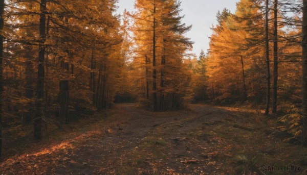 A captivating landscape within day
