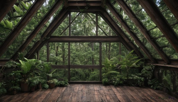 outdoors,day,indoors,tree,no humans,window,leaf,sunlight,plant,nature,scenery,forest,wooden floor,potted plant,bush