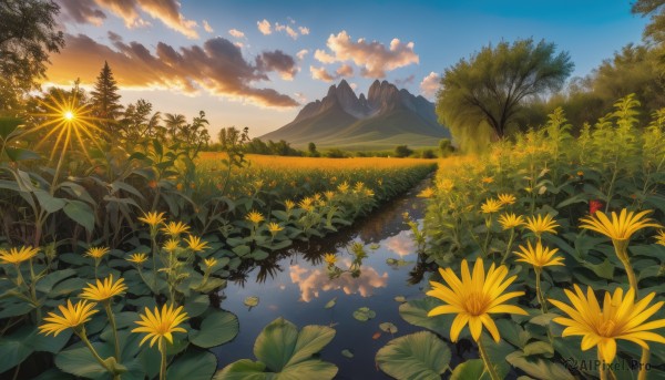 flower, outdoors, sky, cloud, water, tree, blue sky, no humans, cloudy sky, grass, nature, scenery, reflection, sunset, mountain, yellow flower, sun