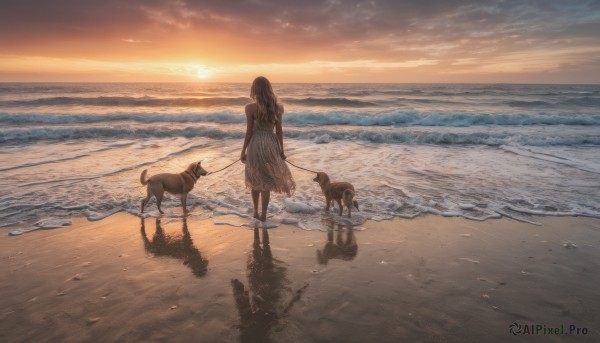 1girl, solo, long hair, dress, standing, outdoors, sky, barefoot, cloud, water, from behind, white dress, dutch angle, shadow, ocean, beach, scenery, reflection, walking, sunset, dog, leash, sand, sun, horizon, facing away, waves, shore, footprints