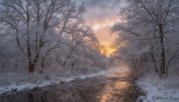 outdoors,sky,cloud,water,tree,no humans,sunlight,cloudy sky,nature,scenery,snow,forest,reflection,sunset,road,winter,bare tree,landscape,mountain,sun,sunrise