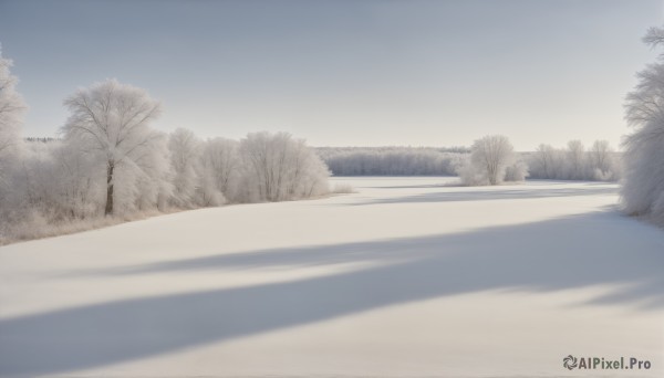 HQ,outdoors,sky,day,cloud,tree,blue sky,no humans,shadow,nature,scenery,snow,forest,road,winter,bare tree,monochrome,sand,landscape,fog