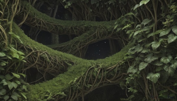A unique subject surrounded by a captivating outdoors