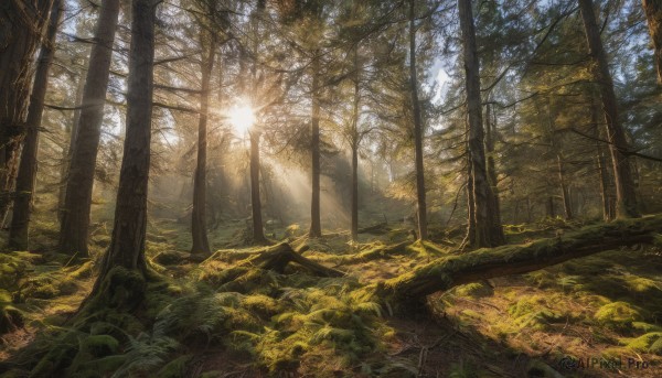 A calm day highlighting a landscape