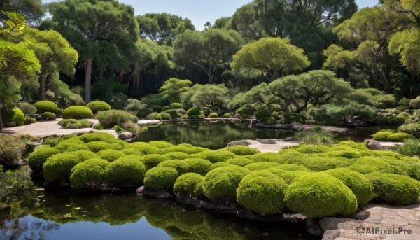 outdoors,sky,day,water,tree,blue sky,no humans,grass,nature,scenery,forest,reflection,rock,river,landscape,lake,moss,pond