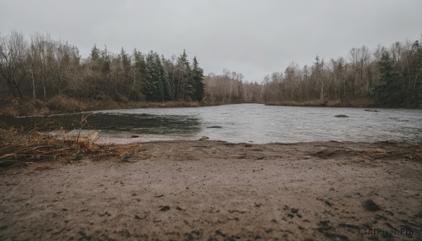 outdoors,sky,day,cloud,water,tree,no humans,grass,nature,scenery,forest,road,bare tree,river,landscape,grey sky,cloudy sky,snow,overcast