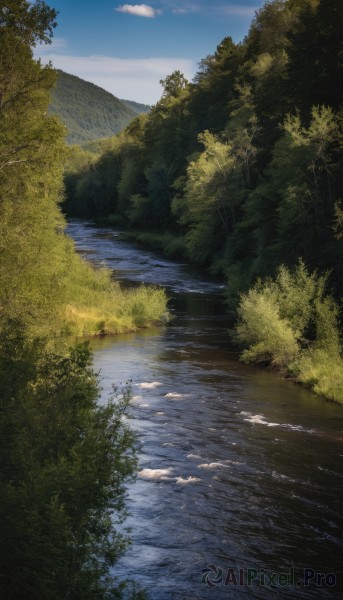 A delightful capture of a landscape within day