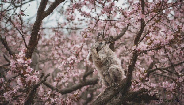 A delightful capture of a unique subject within outdoors