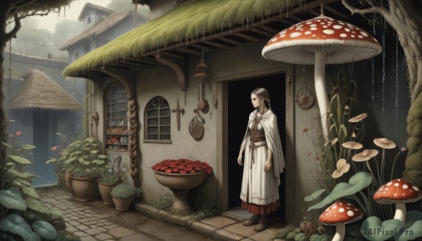 1girl,solo,brown hair,black hair,dress,standing,boots,outdoors,cape,tree,window,brown footwear,grass,plant,building,nature,scenery,cloak,fantasy,door,potted plant,mushroom,house,long hair,rain,white cape,wide shot,white cloak