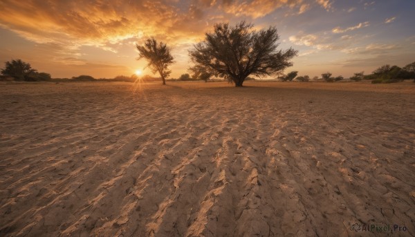 outdoors,sky,cloud,water,tree,dutch angle,no humans,ocean,beach,sunlight,cloudy sky,grass,nature,scenery,sunset,sand,sun,horizon,road,landscape,shore,orange sky,lens flare